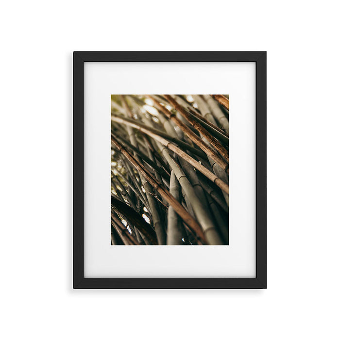 Bamboo Study 2 Framed Art Print Gallery Image 1