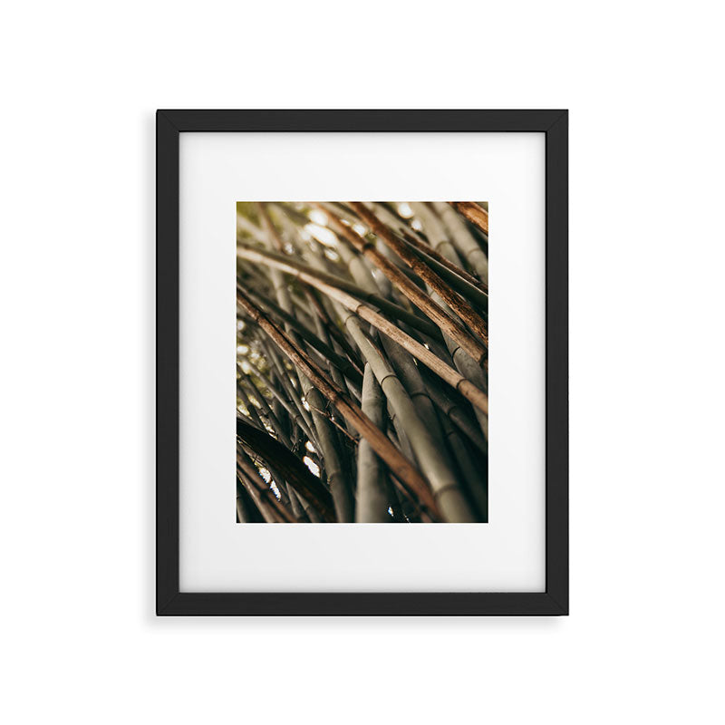Bamboo Study 2 Framed Art Print Gallery Image 5