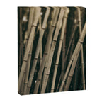 Bamboo Study 3 Canvas Print Gallery Image 6