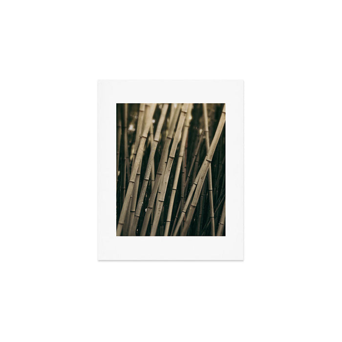 Bamboo Study 3 Art Print Gallery Image 1