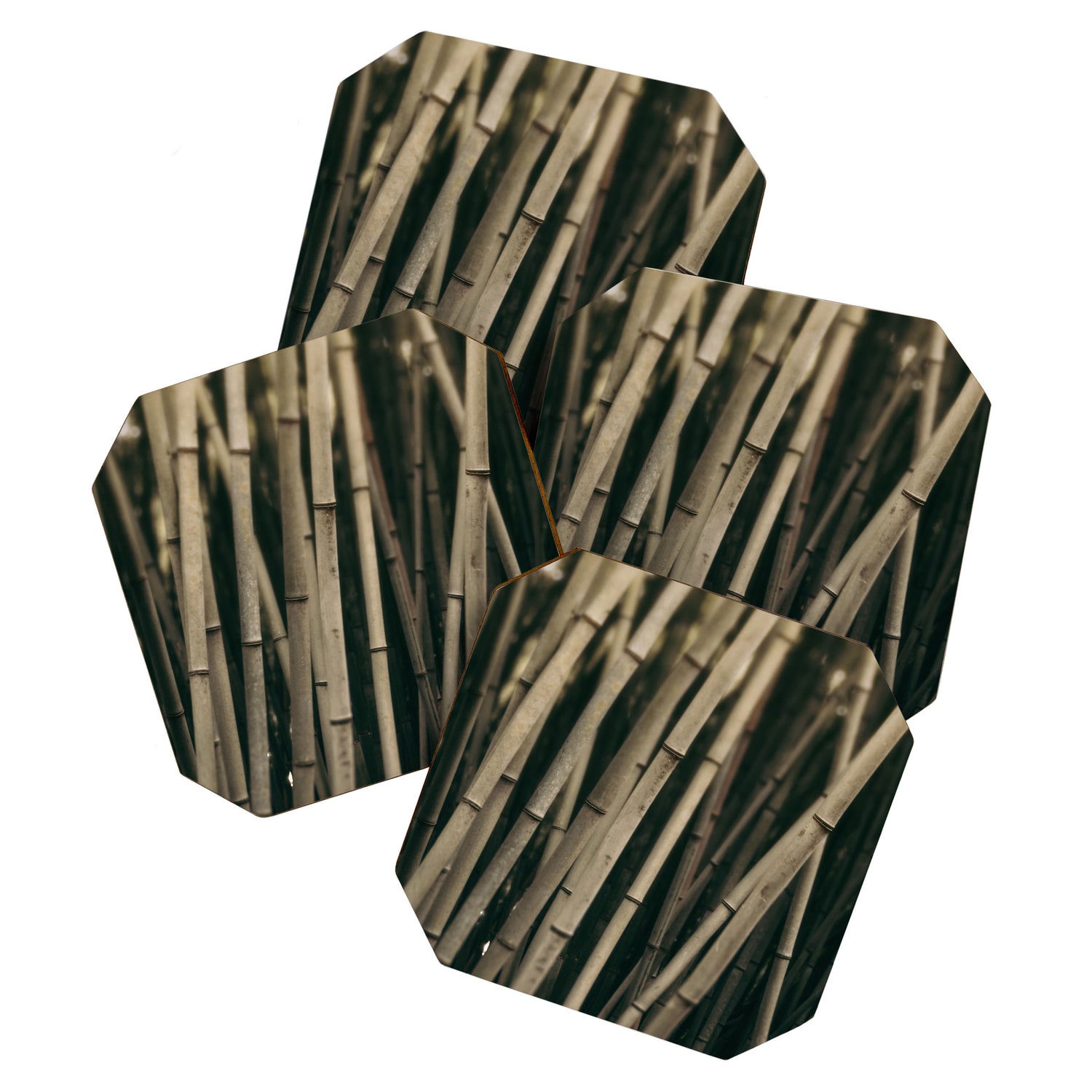 Bamboo Study 3 Coaster Gallery Image 1