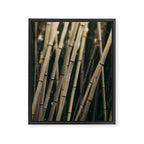 Bamboo Study 3 Framed Canvas Print Gallery Image 6