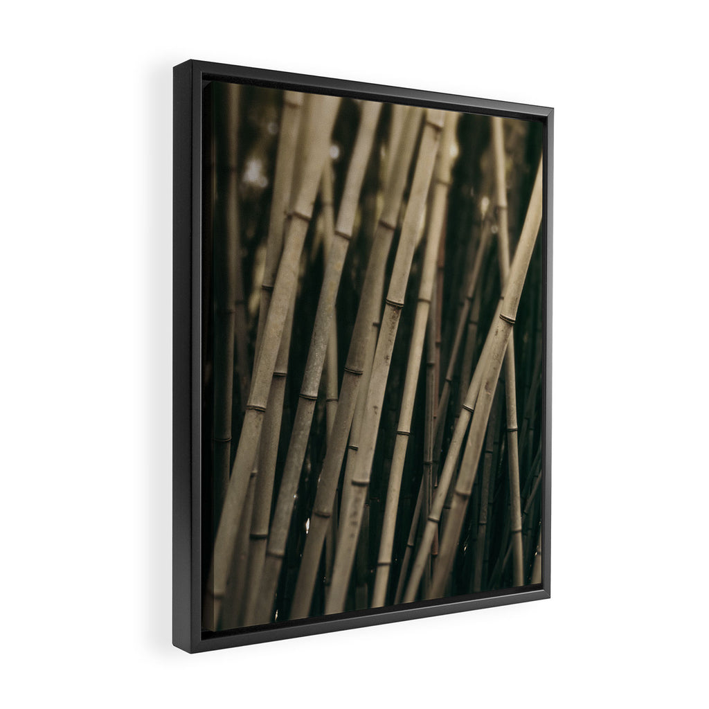 Bamboo Study 3 Framed Canvas Print Gallery Image 2