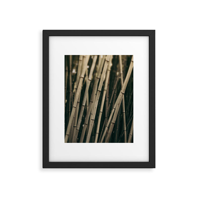 Bamboo Study 3 Framed Art Print Gallery Image 5