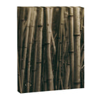 Bamboo Study Canvas Print Gallery Image 6