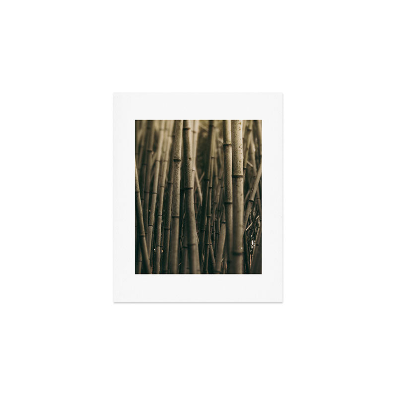 Bamboo Study Art Print Gallery Image 1