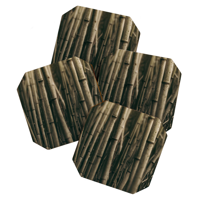 Bamboo Study Coaster Gallery Image 1