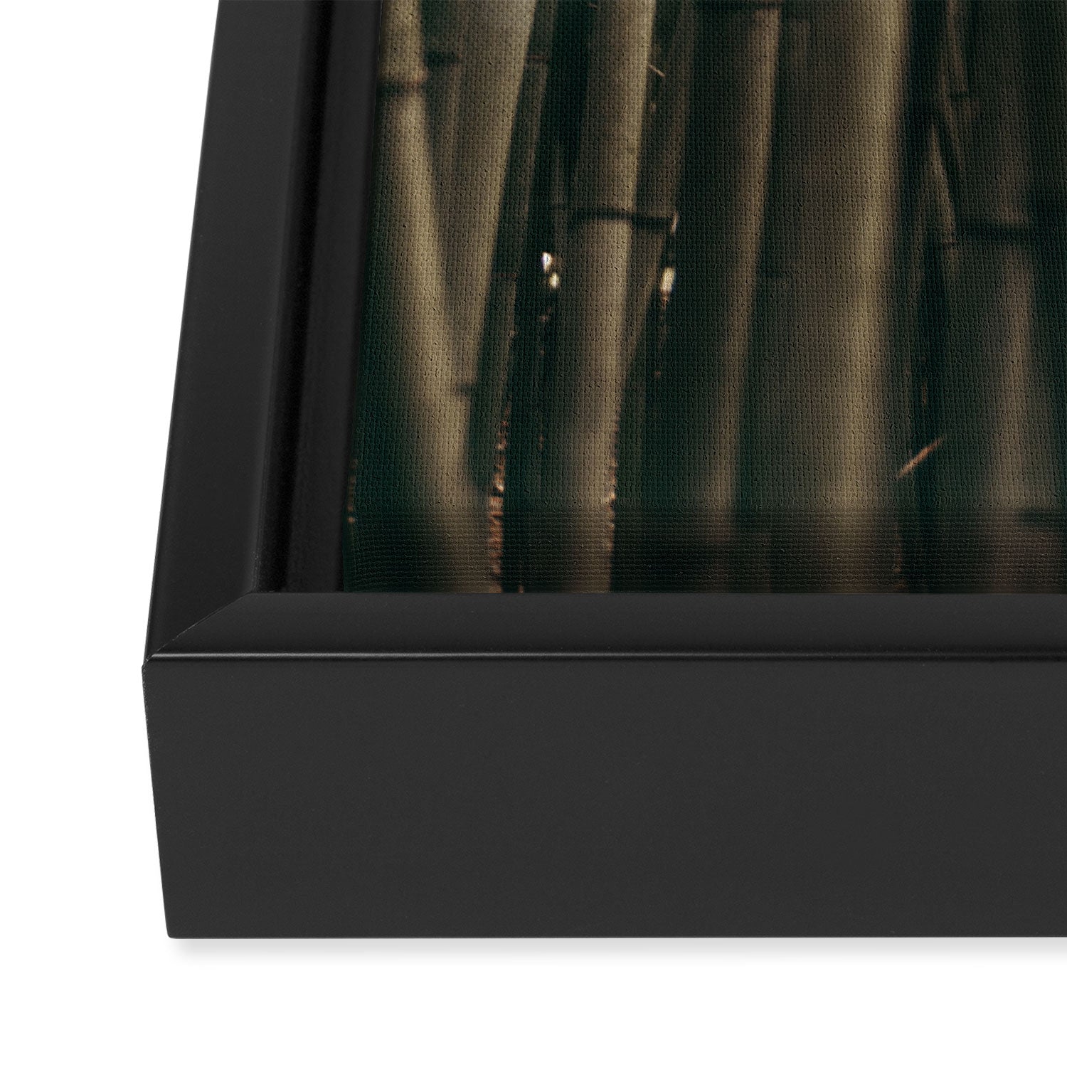 Bamboo Study Framed Canvas Print Gallery Image 3