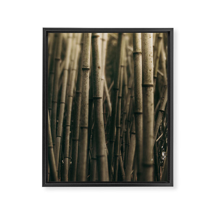 Bamboo Study Framed Canvas Print Gallery Image 1