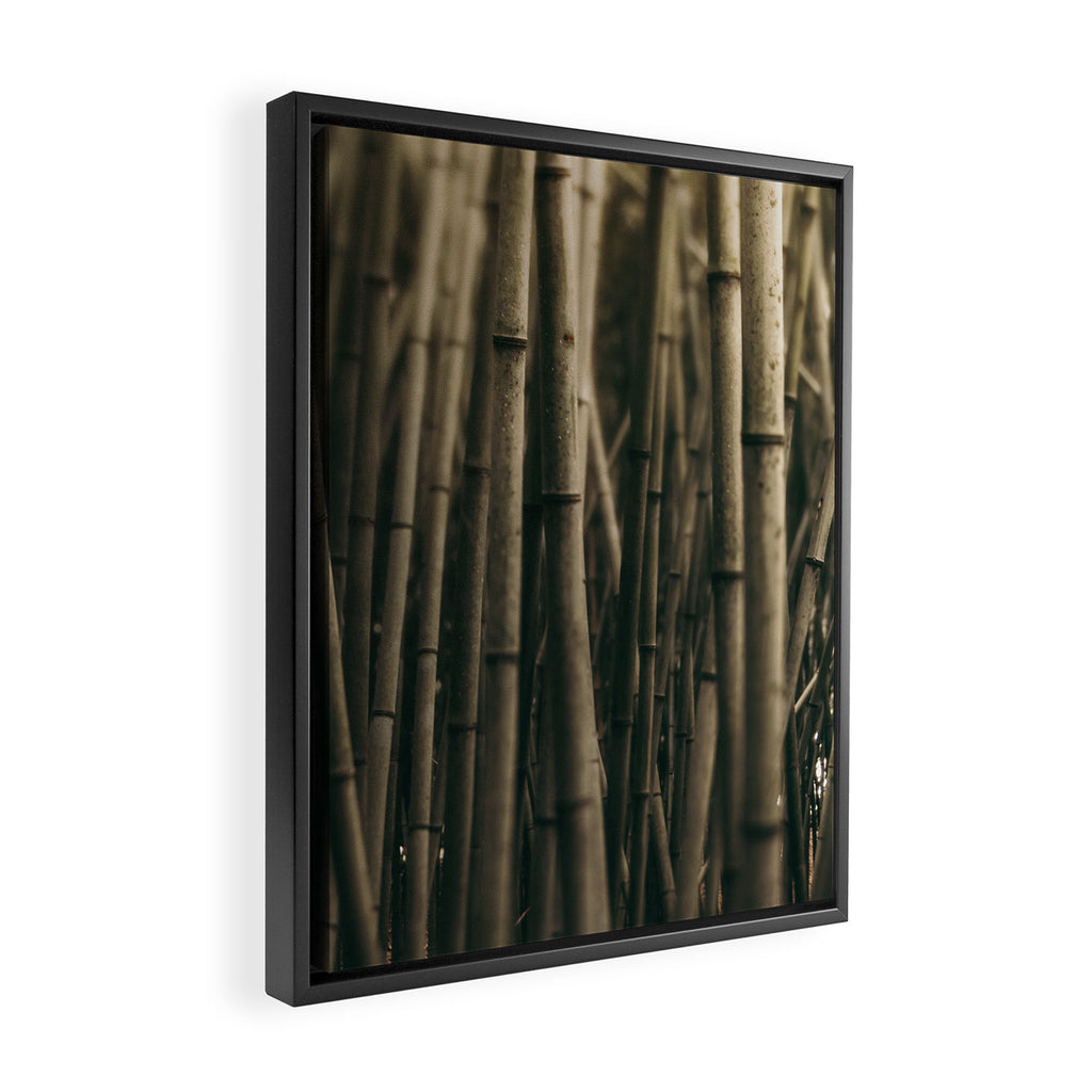 Bamboo Study Framed Canvas Print Gallery Image 2