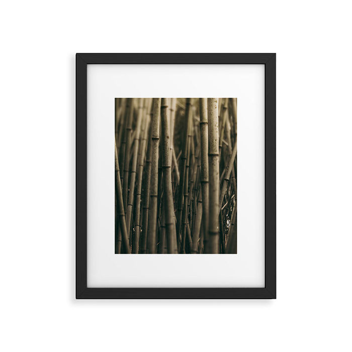 Bamboo Study Framed Art Print Gallery Image 1