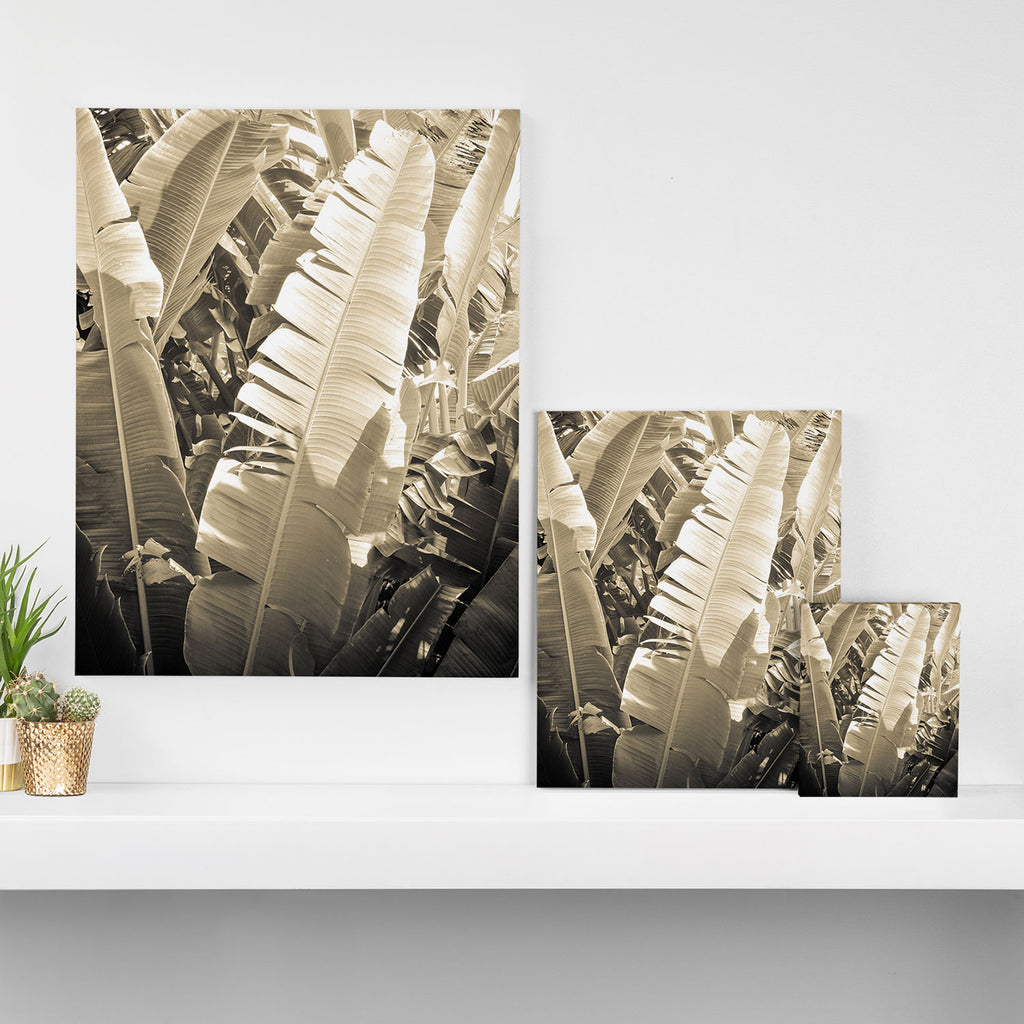 Banana Leaf Canvas Print Gallery Image 3