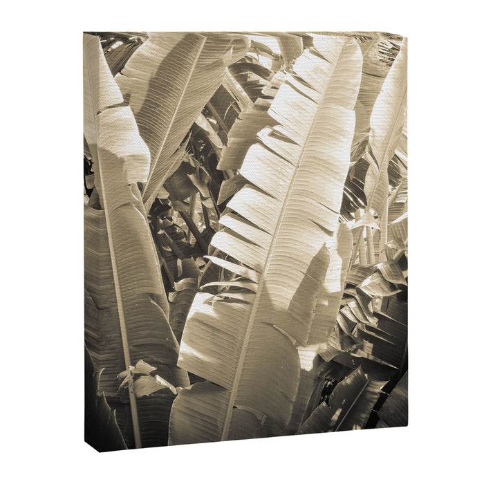 Banana Leaf Canvas Print Gallery Image 1