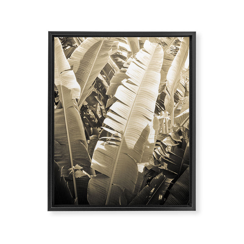 Banana Leaf Framed Canvas Print Gallery Image 3