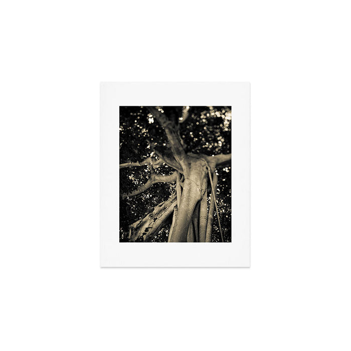 Banyan Tree II - Black and White Art Print Gallery Image 1