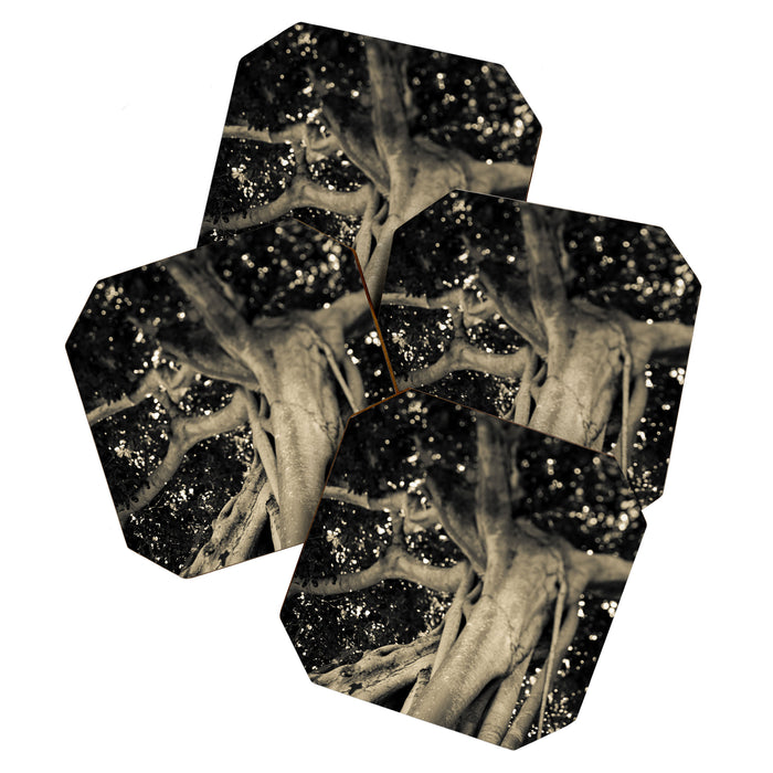 Banyan Tree II - Black and White Coaster Gallery Image 1