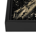 Banyan Tree II - Black and White Framed Canvas Print Gallery Image 3