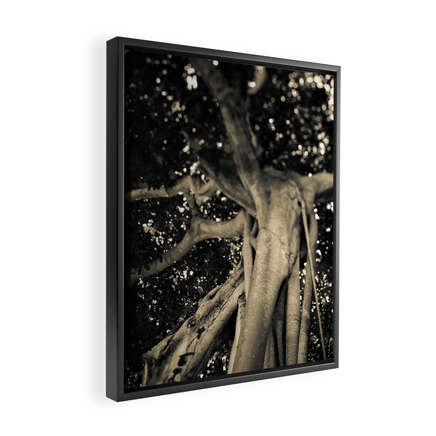 Banyan Tree II - Black and White Framed Canvas Print Gallery Image 2