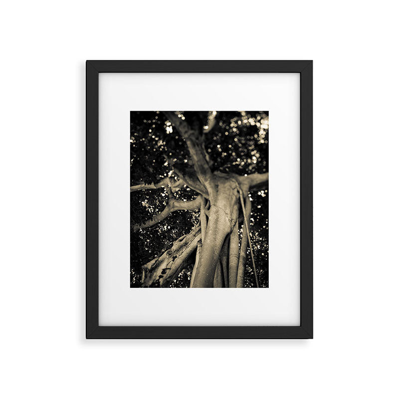 Banyan Tree II - Black and White Framed Art Print Gallery Image 5