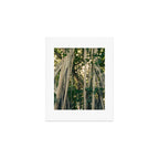 Banyan Tree - Tropical Decor Art Print Gallery Image 1