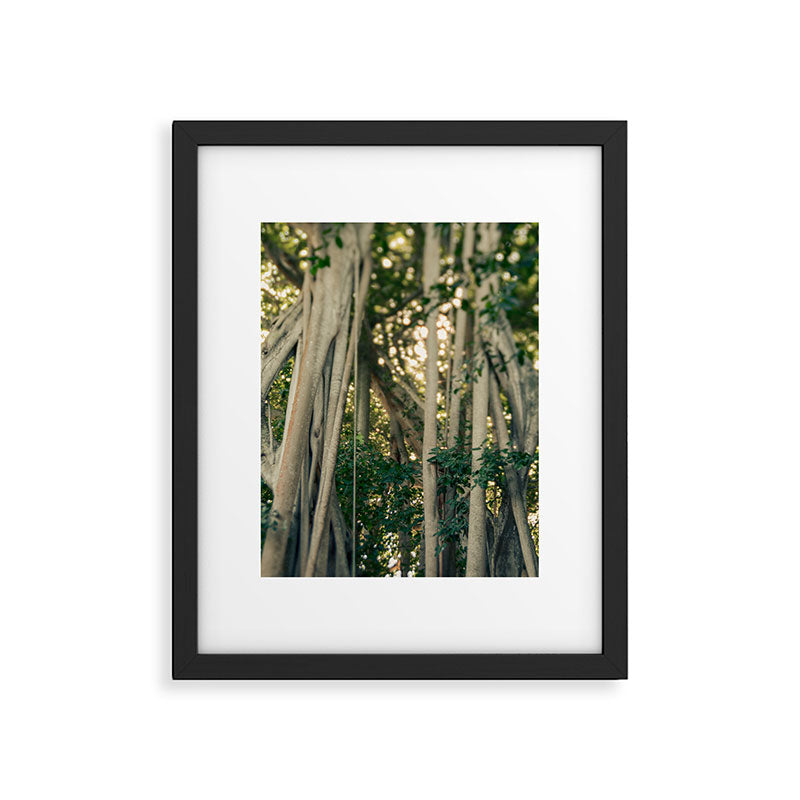 Banyan Tree - Tropical Decor Framed Art Print Gallery Image 5