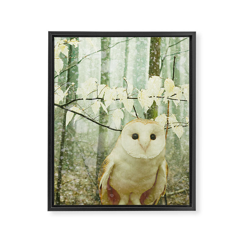 Barn Owl in Snowy Winter Woodland Framed Canvas Print Gallery Image 6