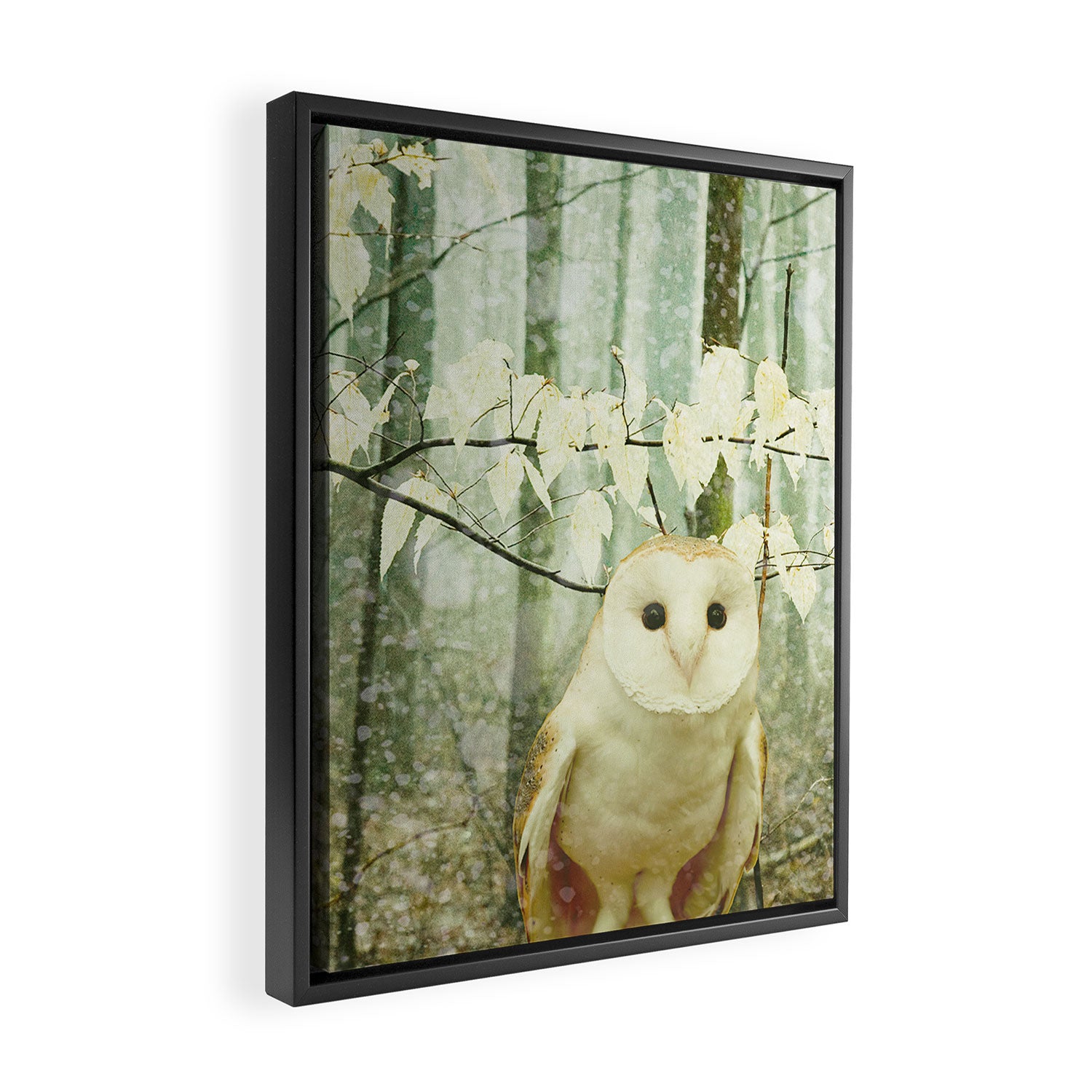 Barn Owl in Snowy Winter Woodland Framed Canvas Print Gallery Image 2