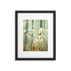 Barn Owl in Snowy Winter Woodland Framed Art Print Gallery Image 5