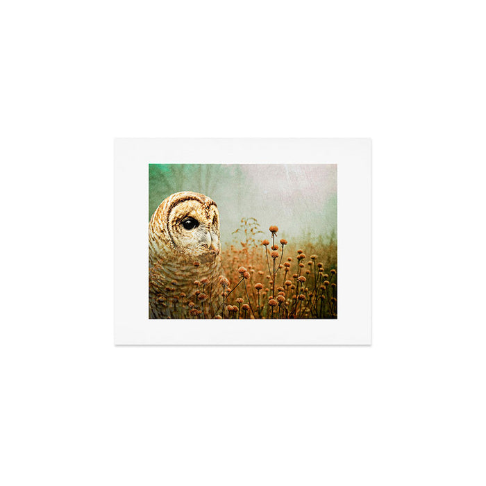 Barred Owl in Foggy Forest Art Print Gallery Image 1
