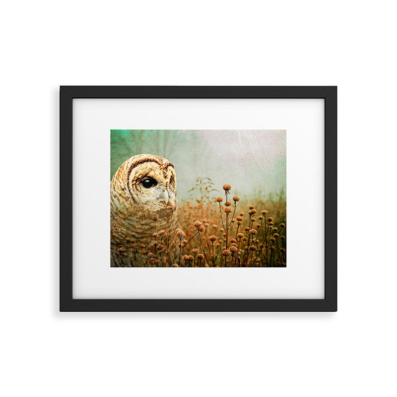 Barred Owl in Foggy Forest Framed Art Print Gallery Image 5