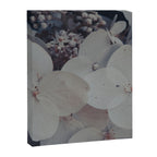 Be a Light in the Darkness x modern botanical hydrangea flower photograph Canvas Print Gallery Image 6