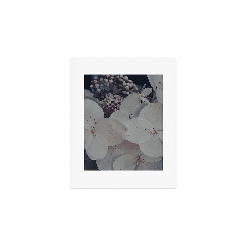 Be a Light in the Darkness x modern botanical hydrangea flower photograph Art Print Gallery Image 1