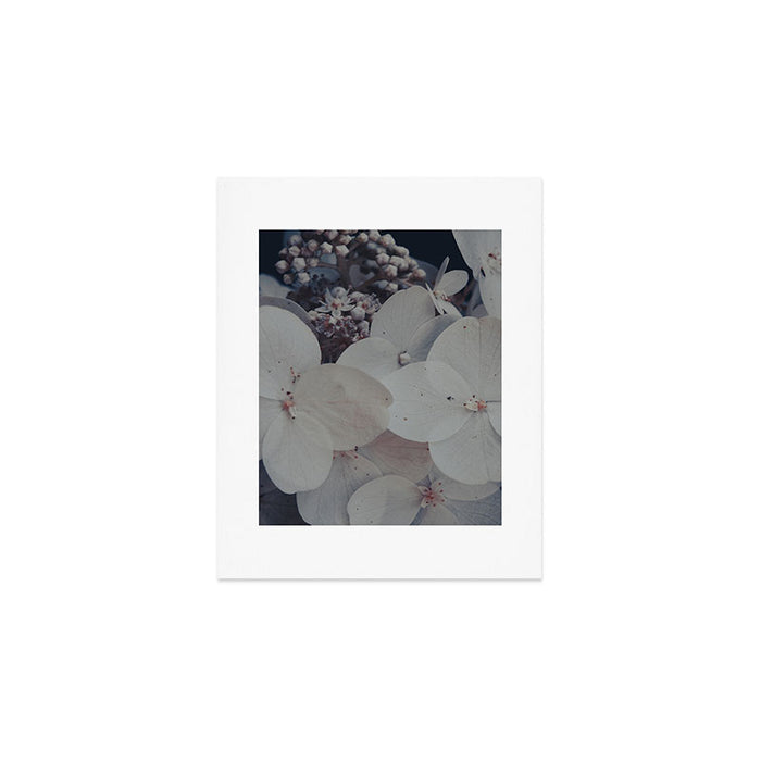 Be a Light in the Darkness x modern botanical hydrangea flower photograph Art Print Gallery Image 1