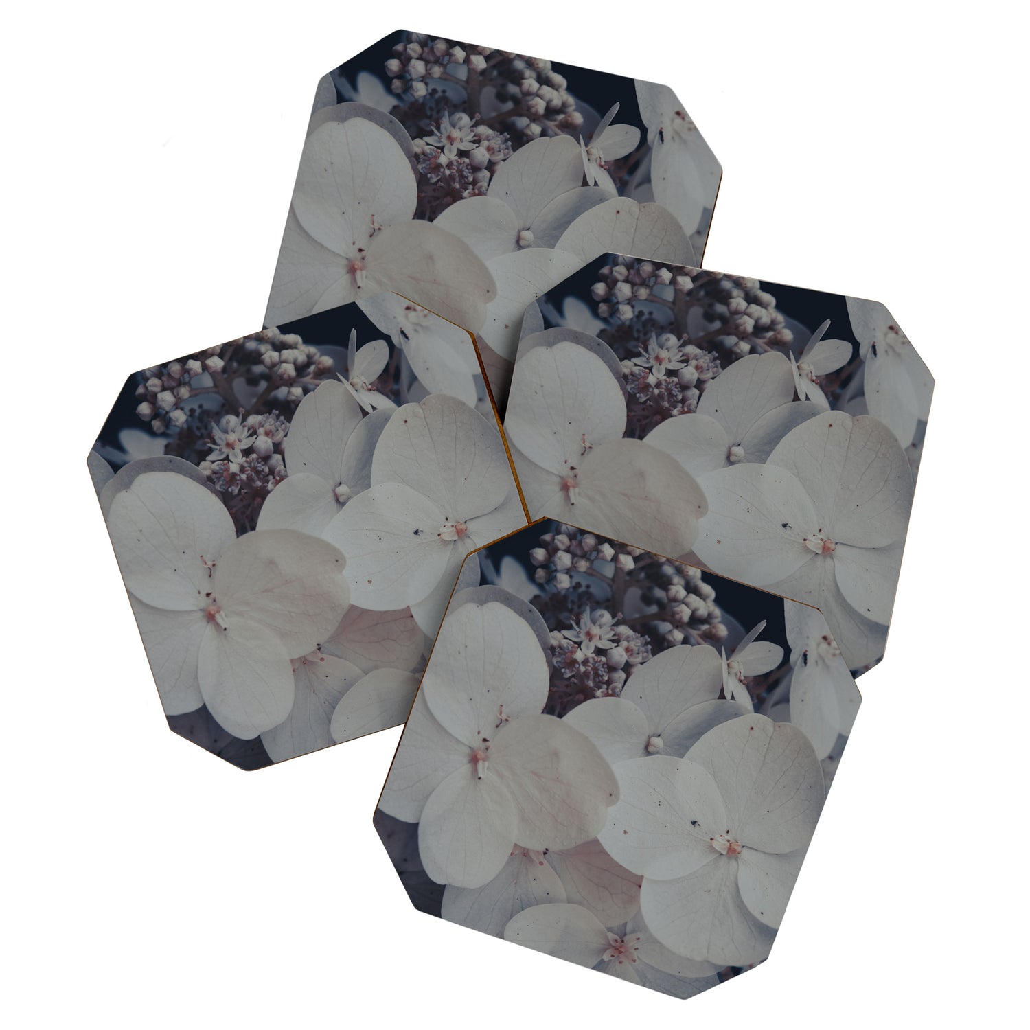 Be a Light in the Darkness x modern botanical hydrangea flower photograph Coaster Gallery Image 1