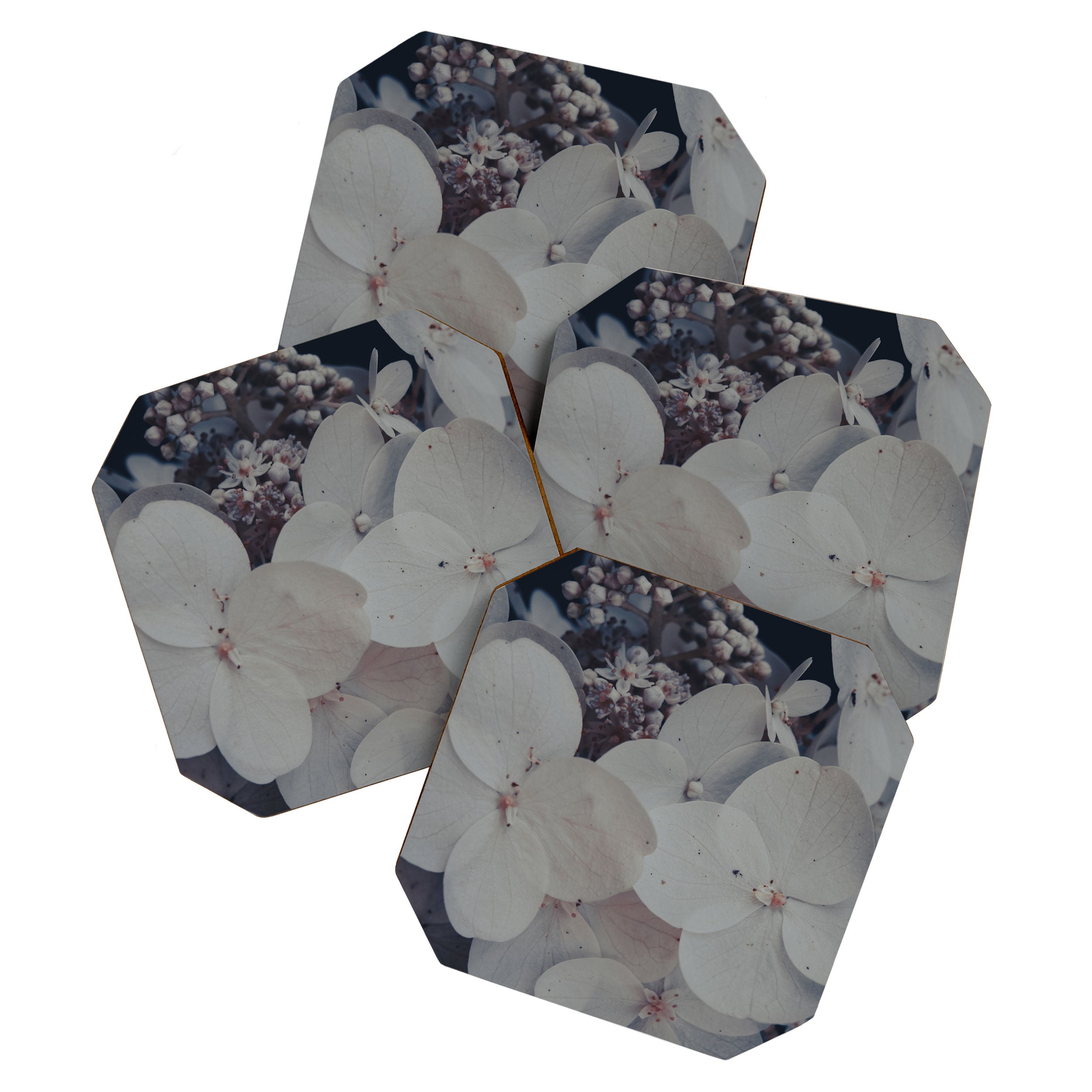 Be a Light in the Darkness x modern botanical hydrangea flower photograph Coaster Gallery Image 1