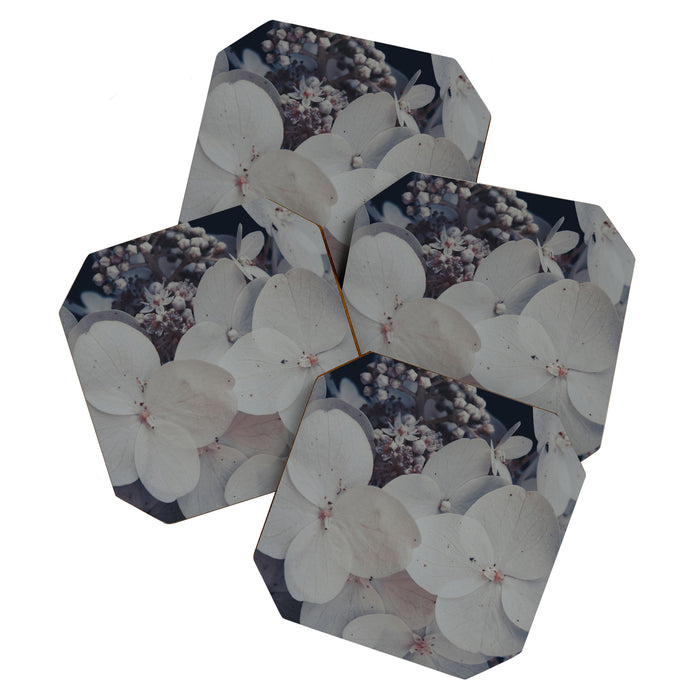 Be a Light in the Darkness x modern botanical hydrangea flower photograph Coaster Gallery Image 1
