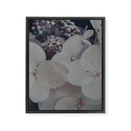 Be a Light in the Darkness x modern botanical hydrangea flower photograph Framed Canvas Print Gallery Image 6
