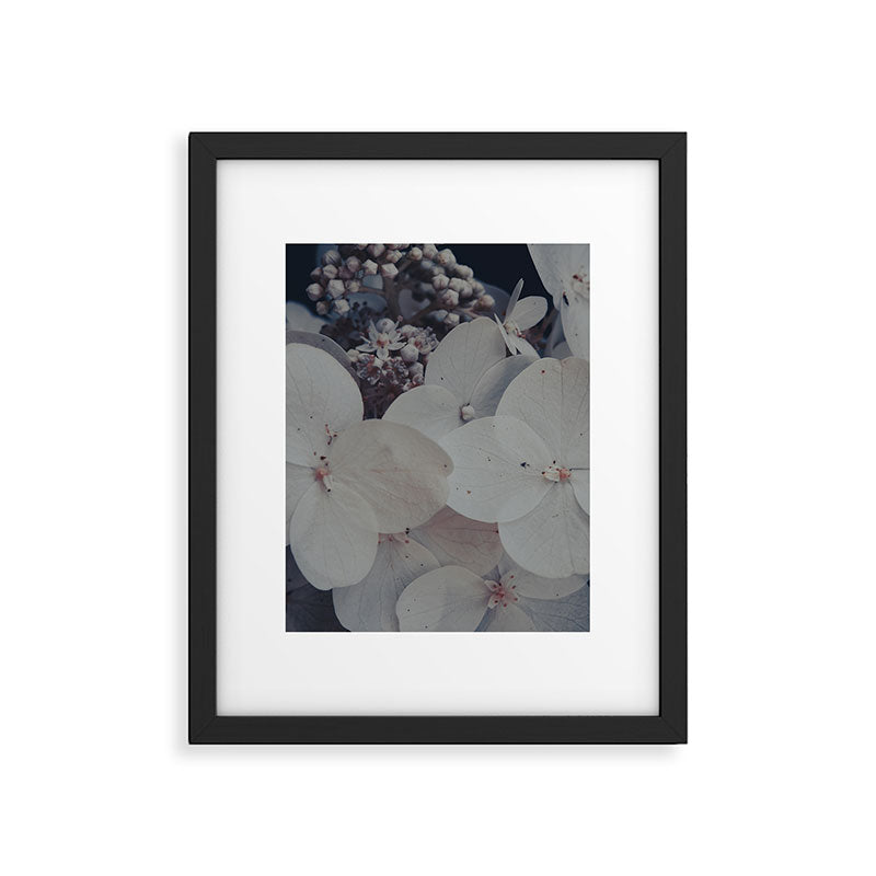 Be a Light in the Darkness x modern botanical hydrangea flower photograph Framed Art Print Gallery Image 5