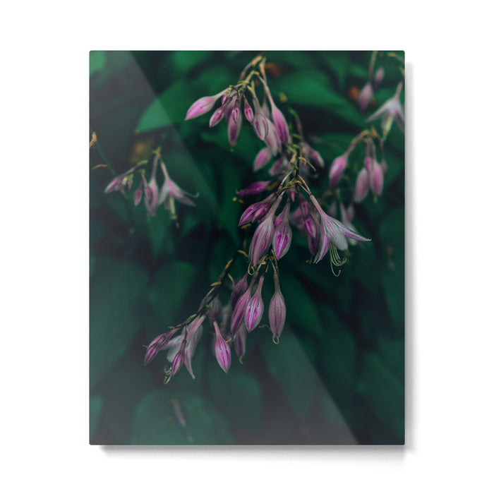 Be Here Now Metal Print Gallery Image 1