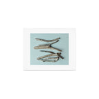 Beach Driftwood x Minimalist still life photograph Art Print Gallery Image 1