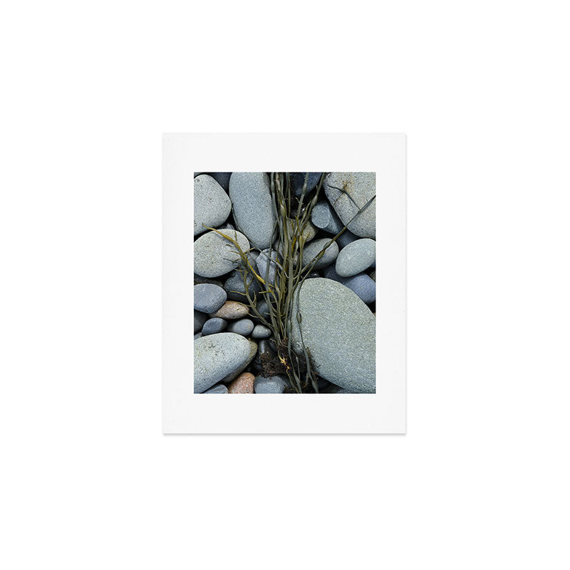 beach pebbles and seaweed - ocean art nature photograph maine Art Print Gallery Image 1