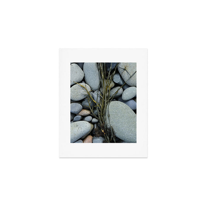 beach pebbles and seaweed - ocean art nature photograph maine Art Print Gallery Image 1