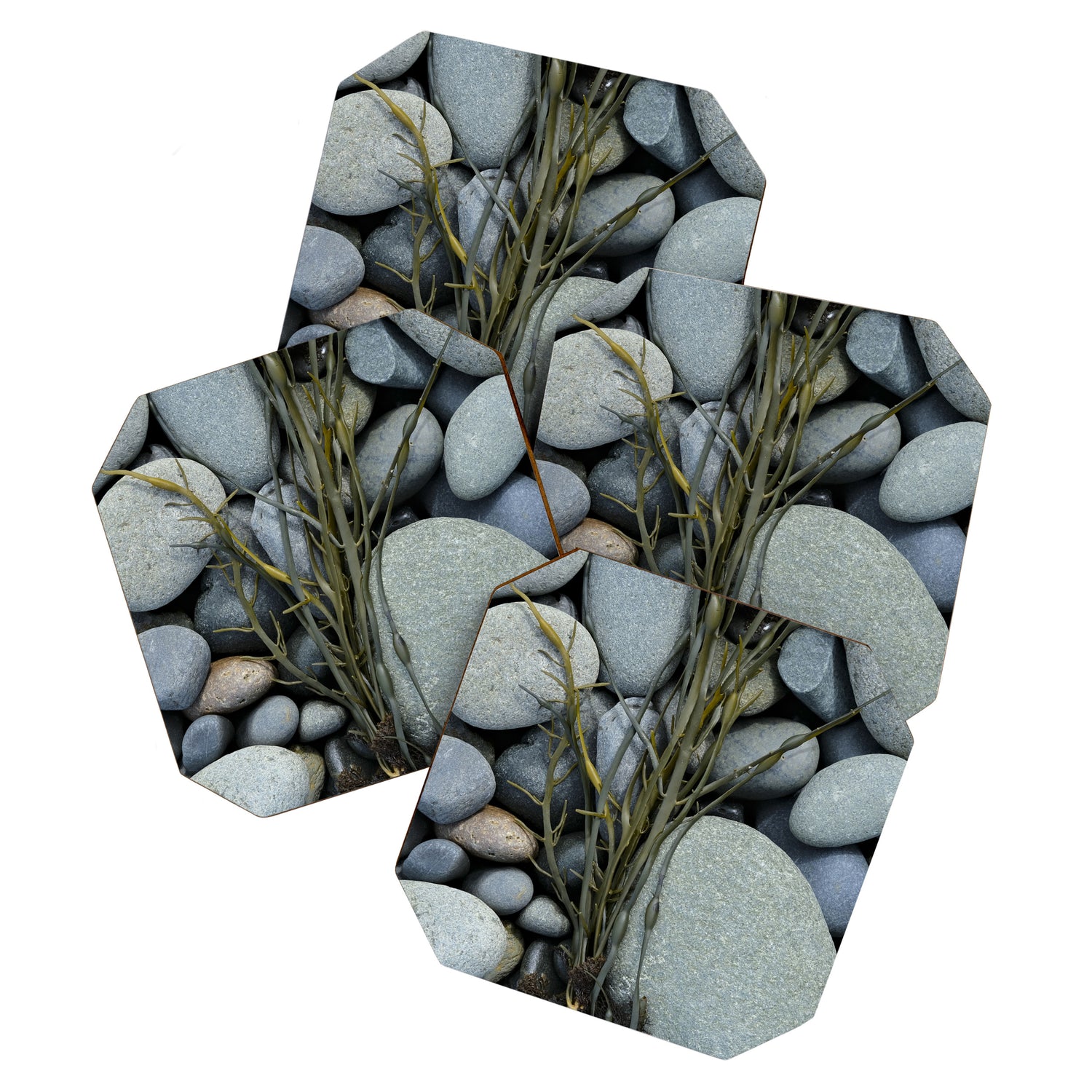 beach pebbles and seaweed - ocean art nature photograph maine Coaster Gallery Image 1
