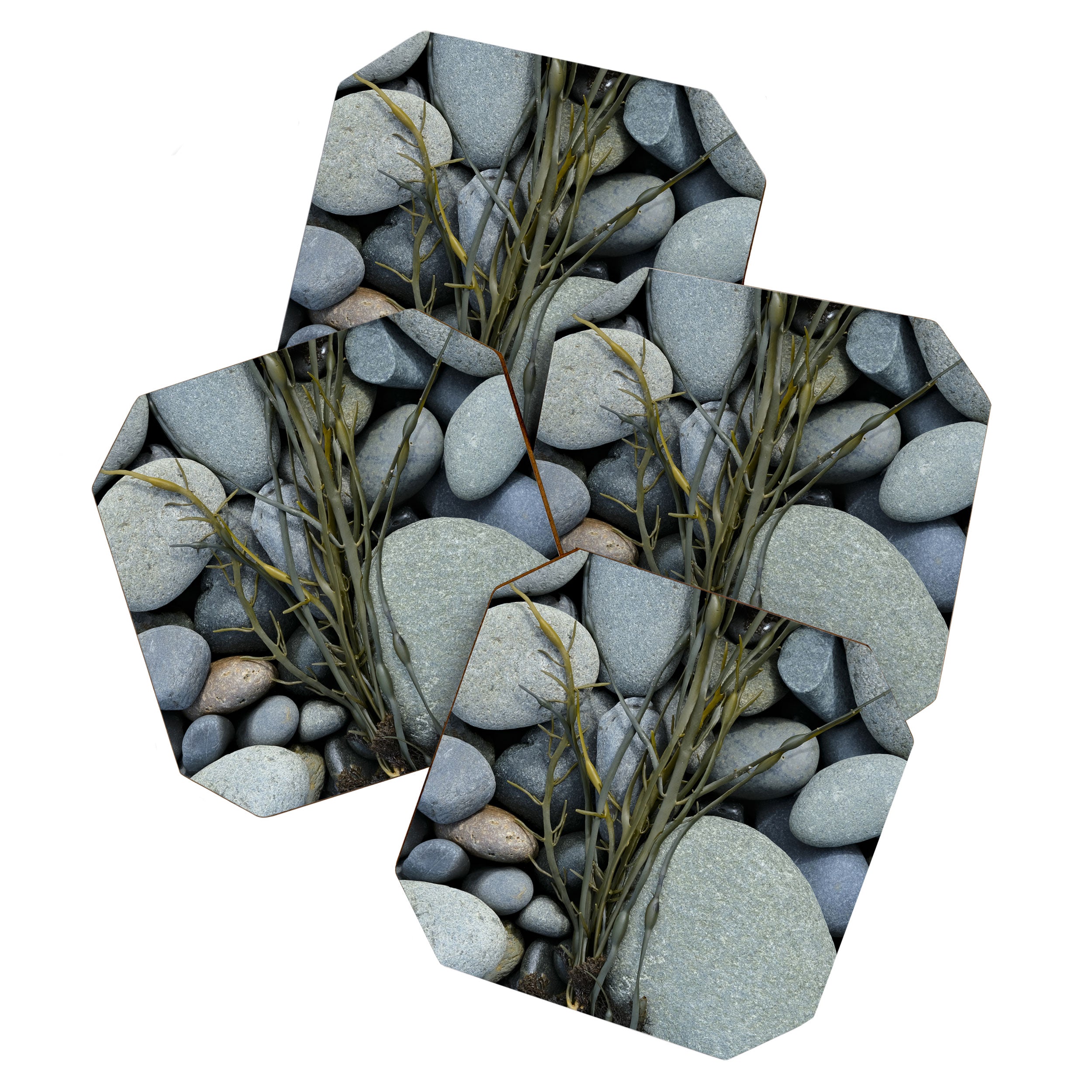 beach pebbles and seaweed - ocean art nature photograph maine Coaster Gallery Image 1