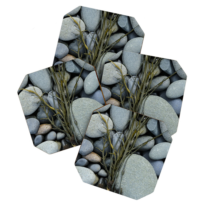 beach pebbles and seaweed - ocean art nature photograph maine Coaster Gallery Image 1