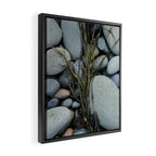 beach pebbles and seaweed - ocean art nature photograph maine Framed Canvas Print Gallery Image 2