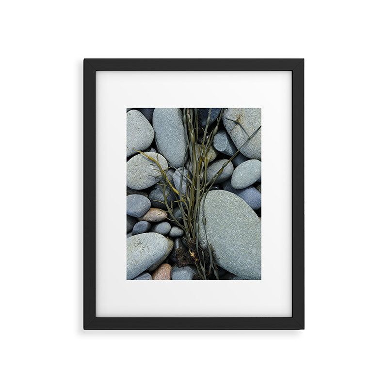 beach pebbles and seaweed - ocean art nature photograph maine Framed Art Print Gallery Image 5
