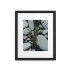 beach pebbles and seaweed - ocean art nature photograph maine Framed Art Print Gallery Image 5