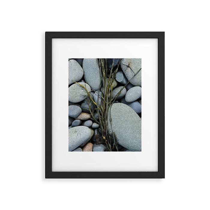 beach pebbles and seaweed - ocean art nature photograph maine Framed Art Print Gallery Image 1