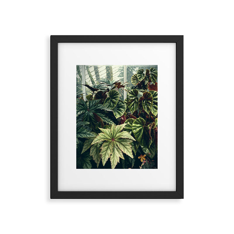 Beautiful Begonias Framed Art Print Gallery Image 5